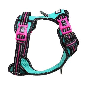 DOOG Neotech Geschirr RIN TIN TIN Gr. M